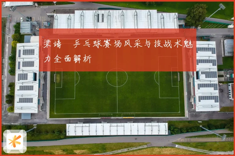 梁靖崑乒乓球赛场风采与技战术魅力全面解析