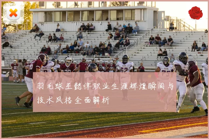 羽毛球王懿律职业生涯辉煌瞬间与技术风格全面解析