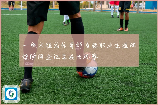 一级方程式传奇舒马赫职业生涯辉煌瞬间全纪录成长观察