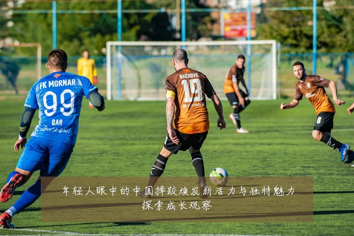 年轻人眼中的中国摔跤焕发新活力与独特魅力探索成长观察