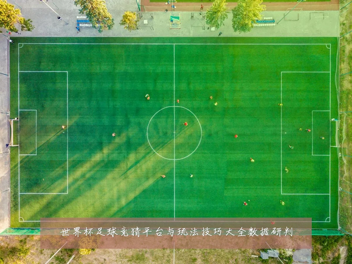 世界杯足球竞猜平台与玩法技巧大全数据研判