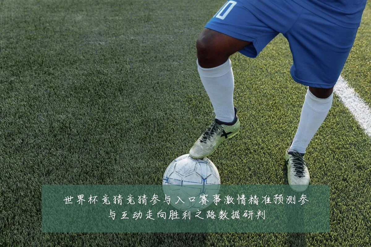 世界杯竞猜竞猜参与入口赛事激情精准预测参与互动走向胜利之路数据研判